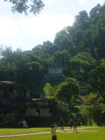 Mayan ruins at Palenque 